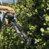 Tagliasiepi a batteria con deflettore sposta foglie e gancio per rimessaggio - immagine 3